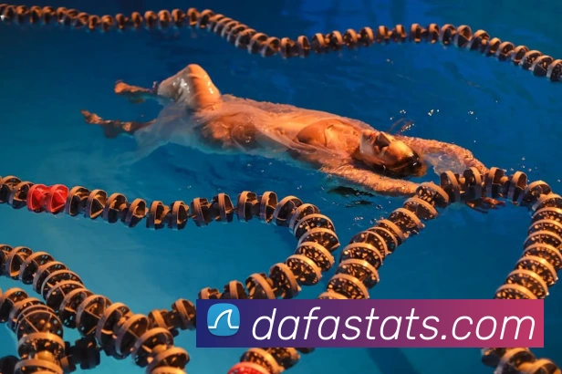 大发娱乐服务体系